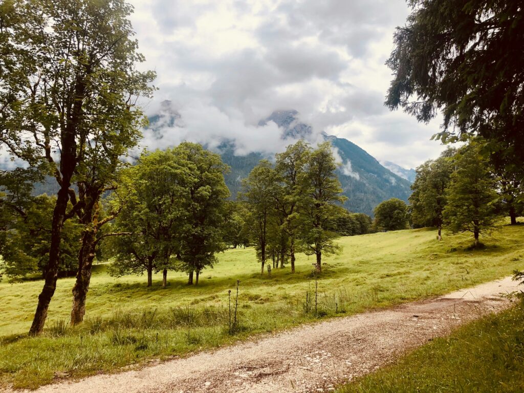 Beitragsbild von Hallo Welt